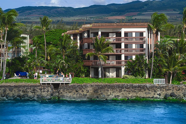 Hono Koa